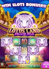 Casino Ao Vivo 37v
